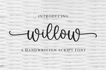 Willow Font: Creative Design Projects